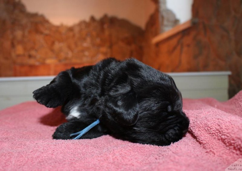 Фото: Viktor Hrischanovich (Виктор Хрищанович)