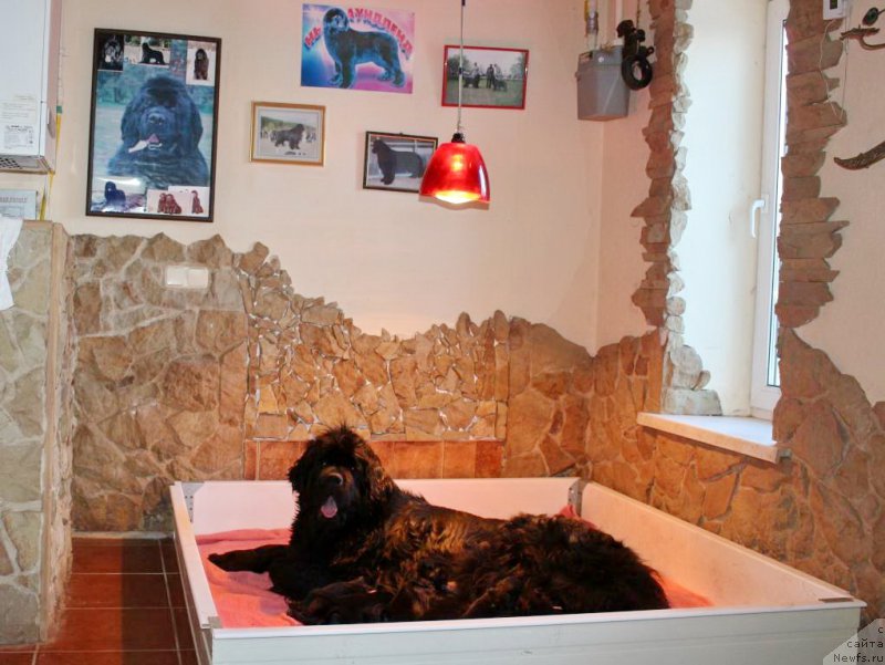 Фотография № 198539