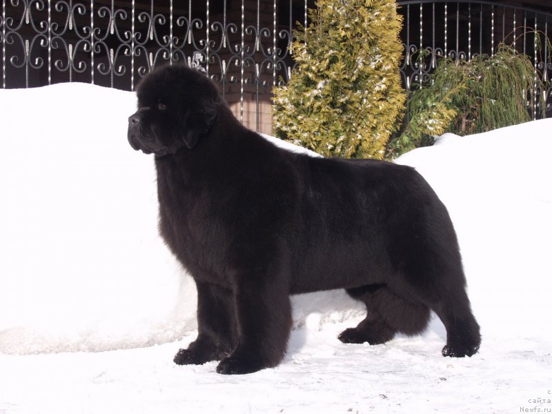 Фотография № 198542