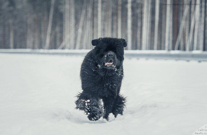 Фотография № 198543