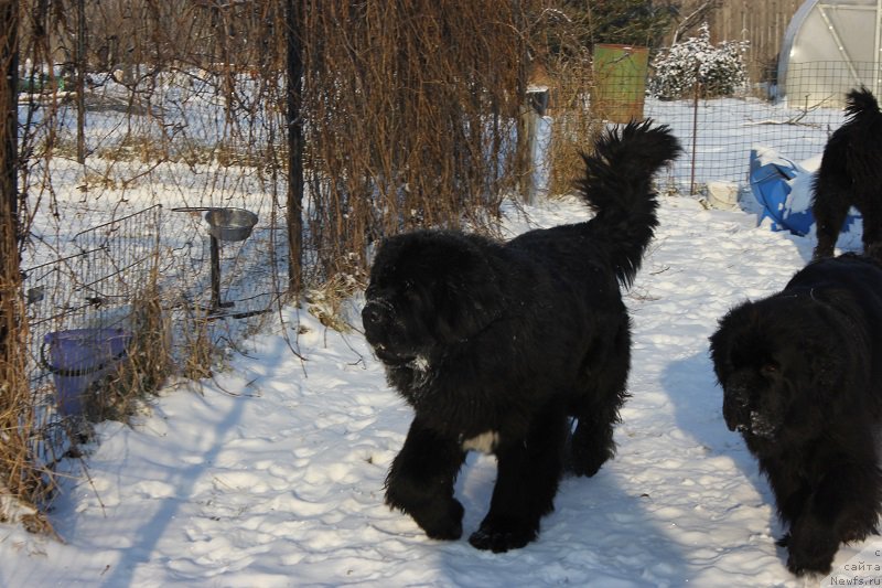 Фотография № 198560