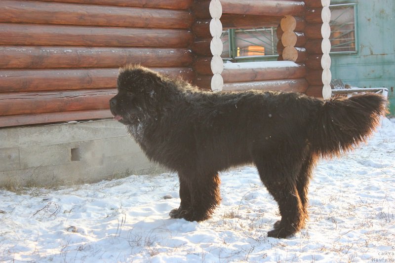 Фотография № 198565