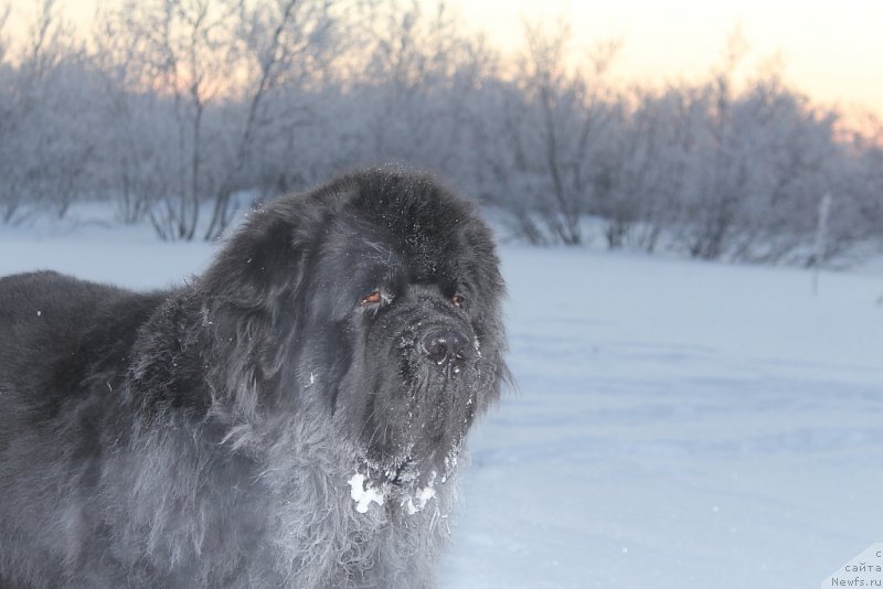 Фотография № 198582