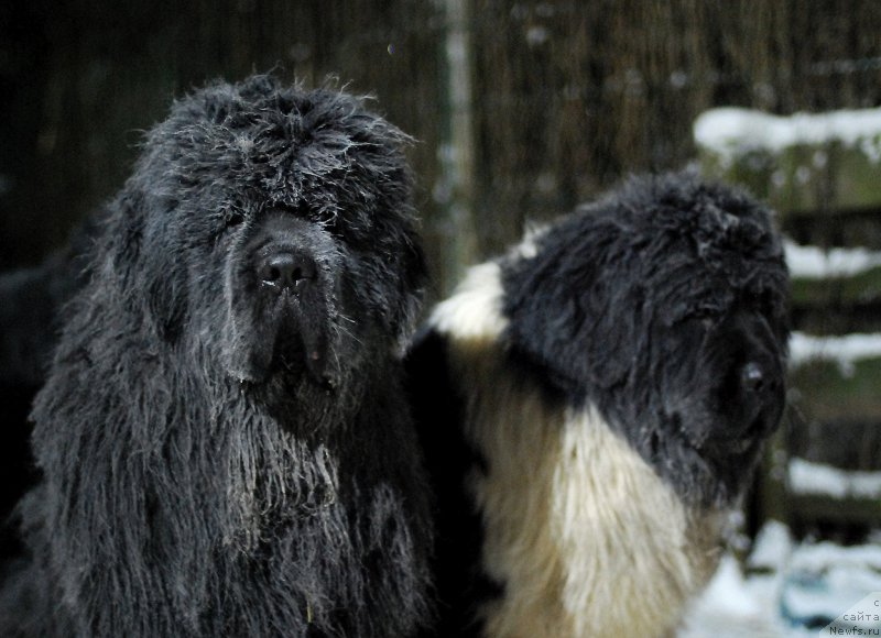 Фотография № 198597