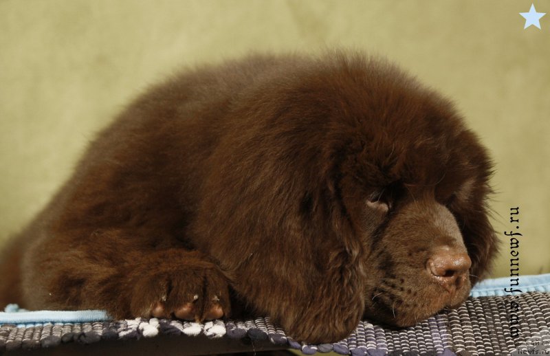 Фотография № 198598