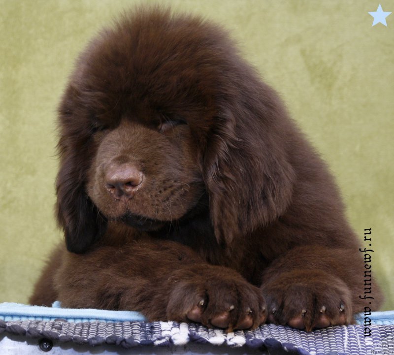 Фотография № 198601