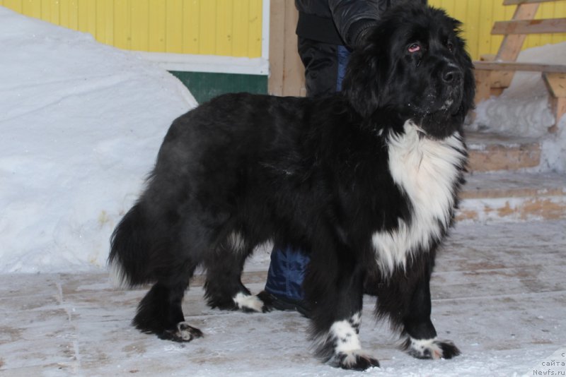 Фотография № 198613