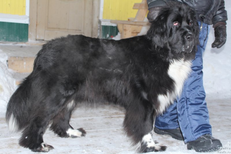 Фотография № 198614