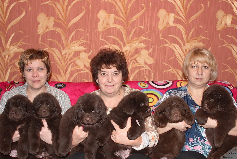 Фотография № 198616