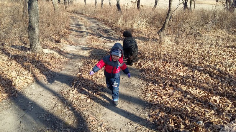 Фотография № 198629