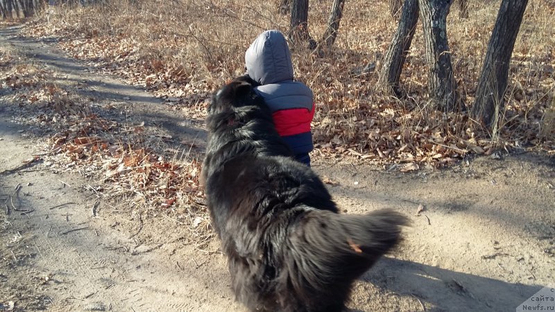 Фотография № 198630