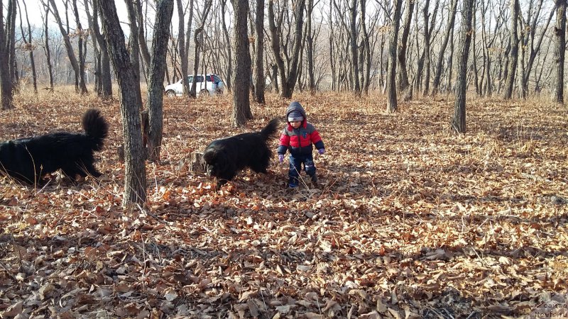 Фотография № 198631