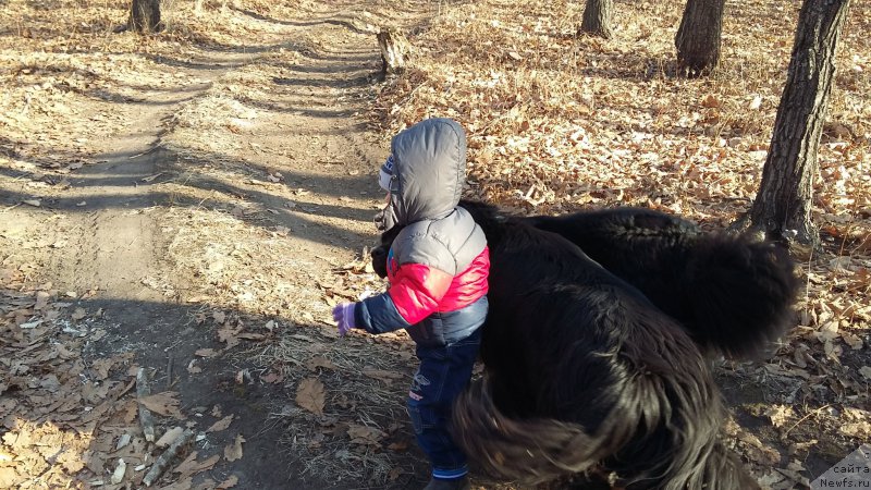 Фотография № 198633