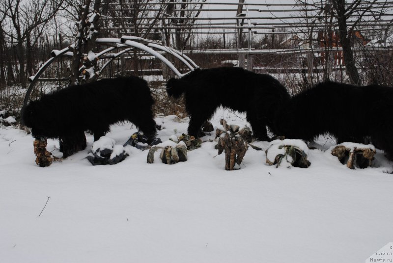 Фотография № 198638