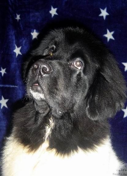 Фотография № 19864