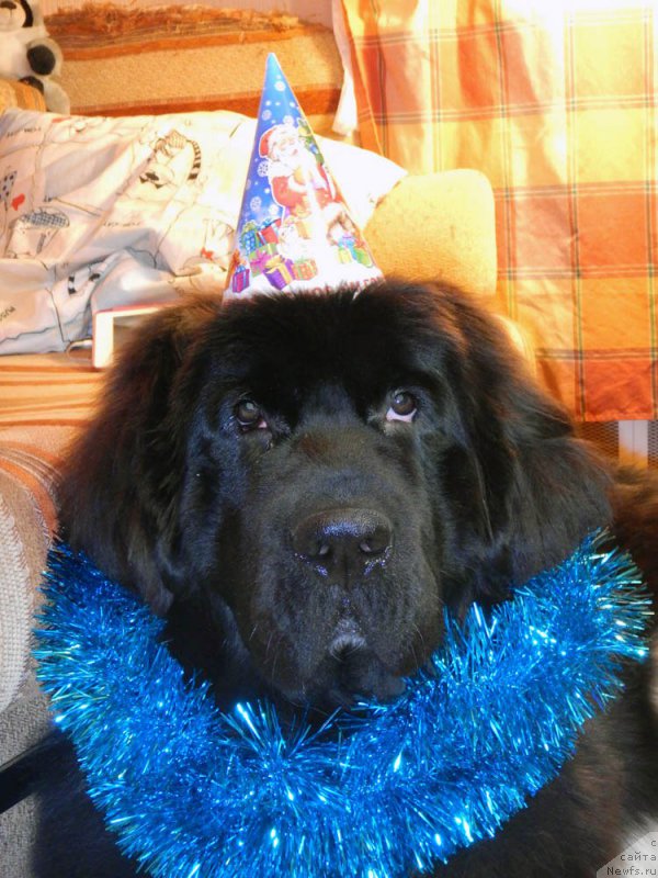 Фотография № 198641