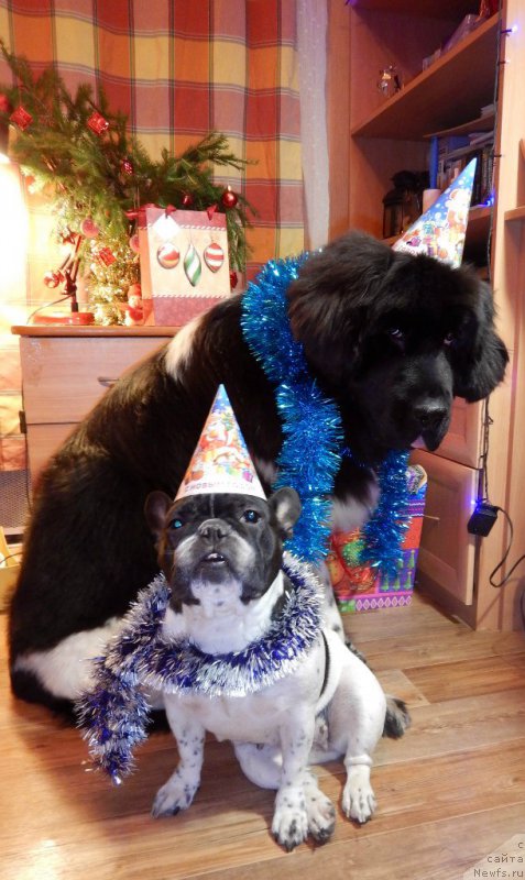 Фотография № 198642