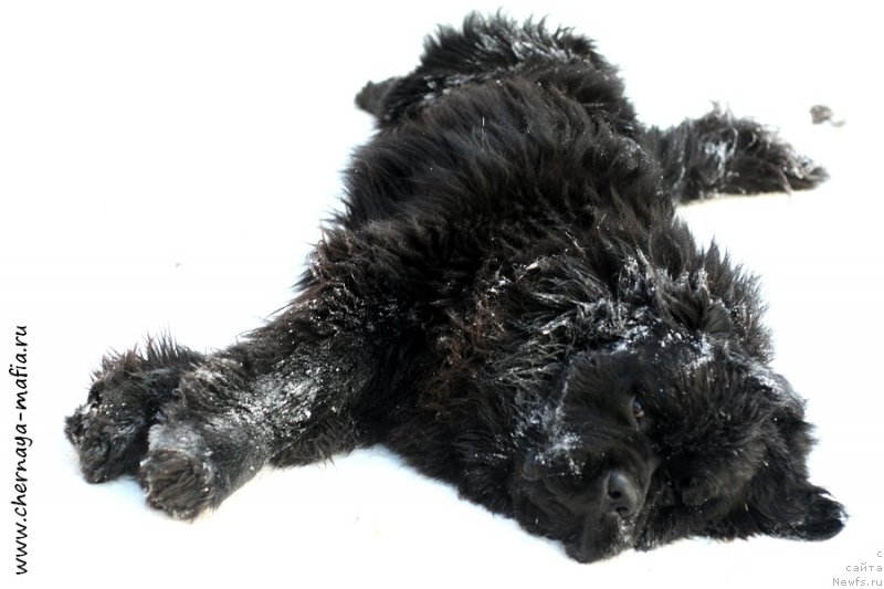 Фотография № 198646