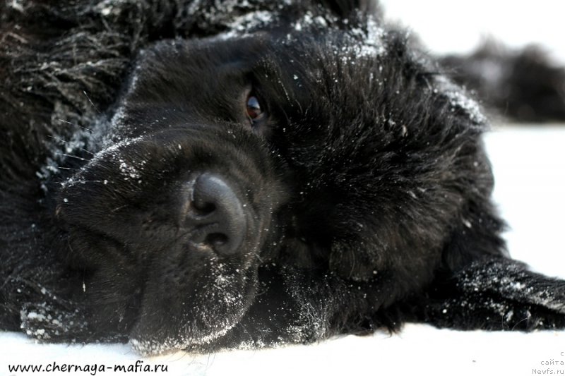 Фотография № 198647