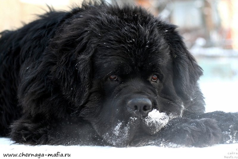 Фотография № 198648