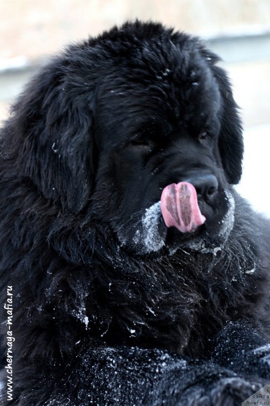 Фотография № 198649