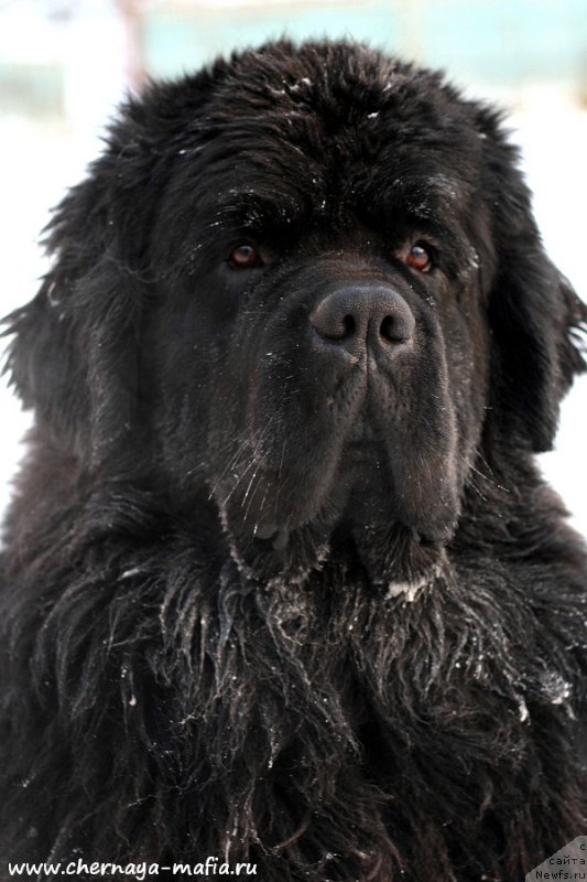 Фотография № 198651