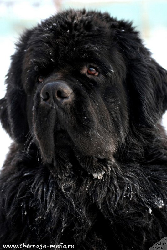 Фотография № 198652