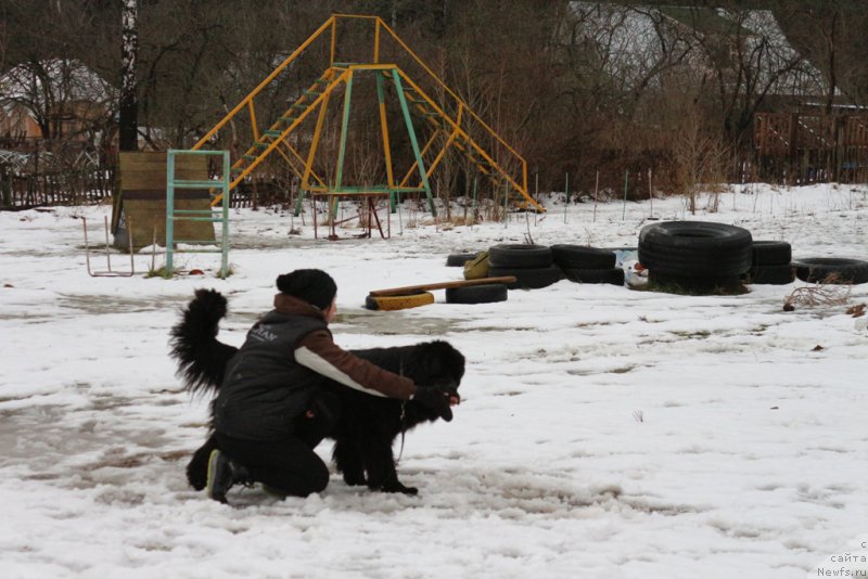 Фотография № 198674