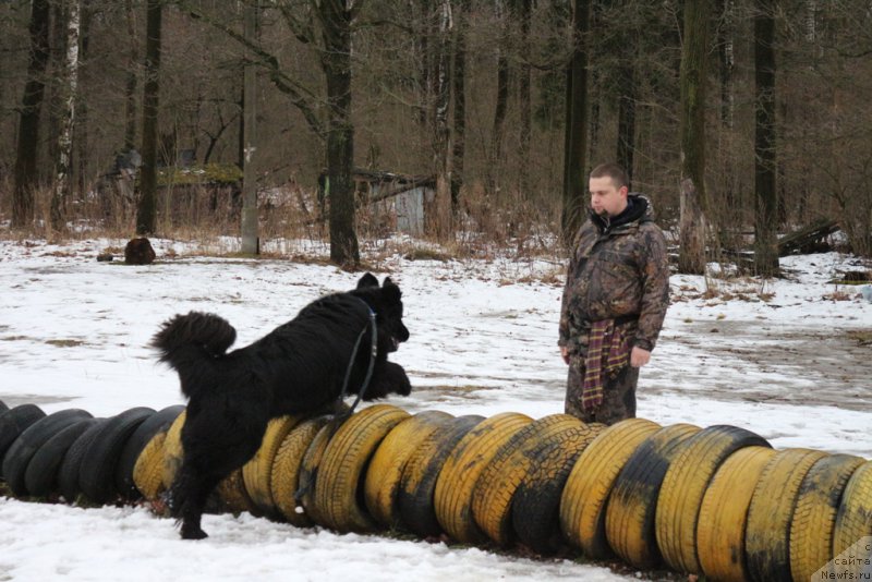 Фотография № 198677