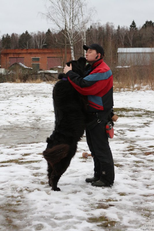 Фотография № 198683