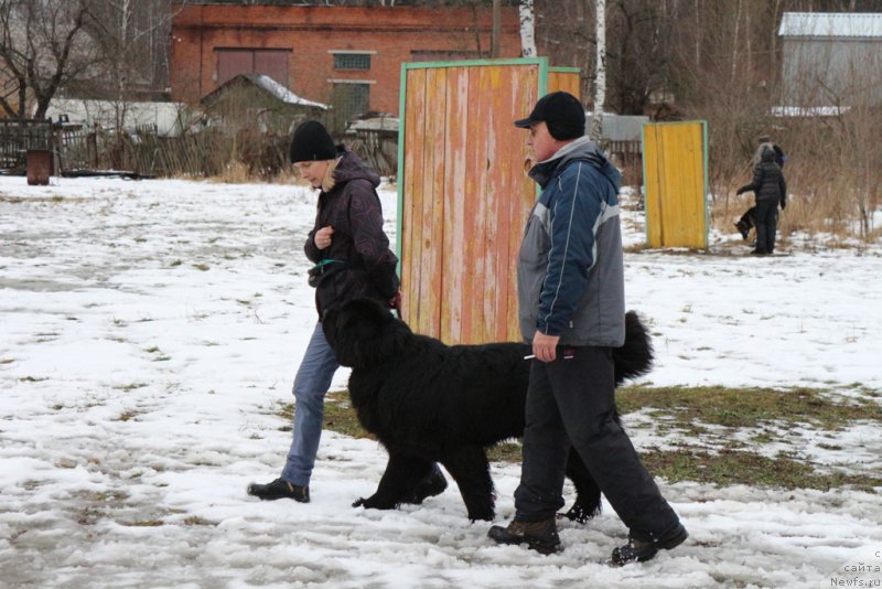 Фотография № 198687