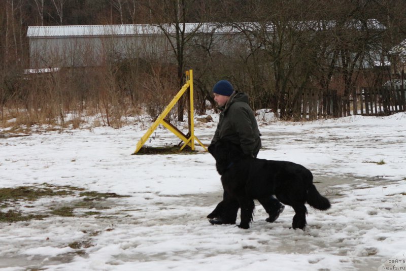 Фото: Aleksandr Ponomaryov (Александр Пономарёв), Конан (Сент-Джонс)
