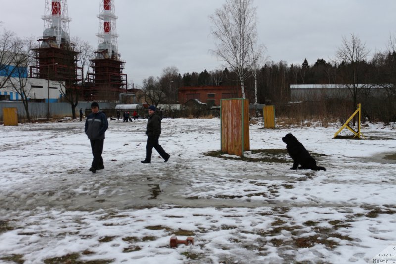 Фото: Aleksandr Burmistrov (Александр Бурмистров), Aleksandr Ponomaryov (Александр Пономарёв), Конан (Сент-Джонс)