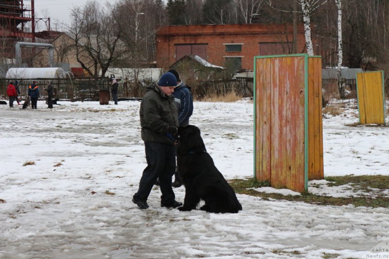 Фотография № 198693