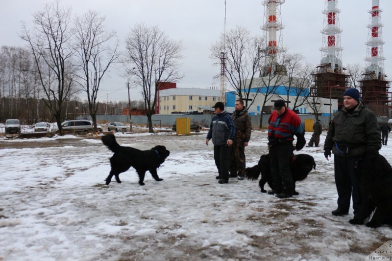 Фотография № 198694