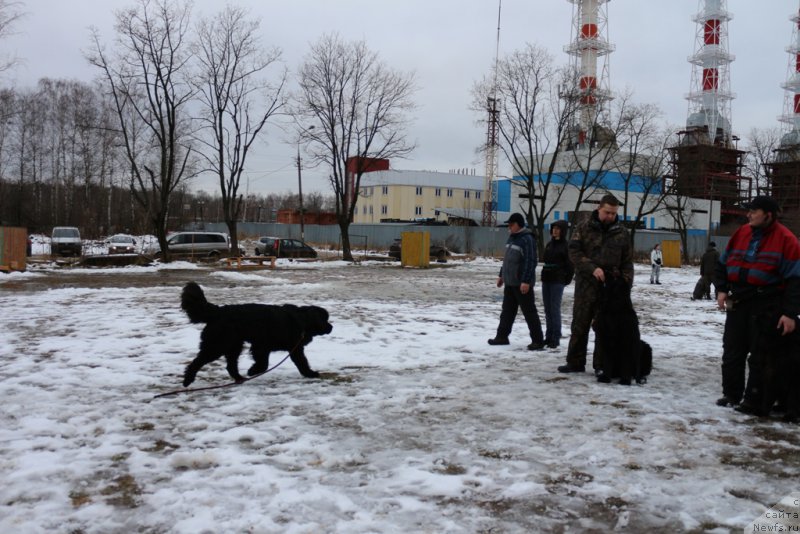 Фотография № 198695