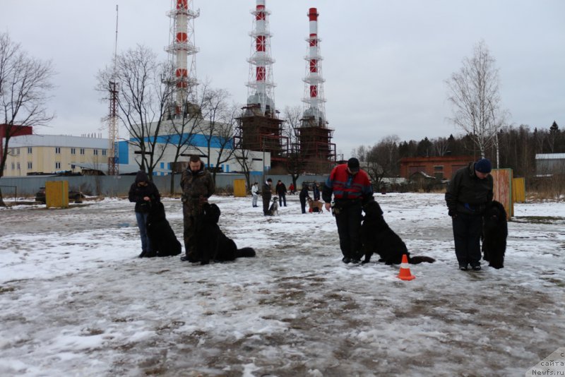 Фотография № 198696