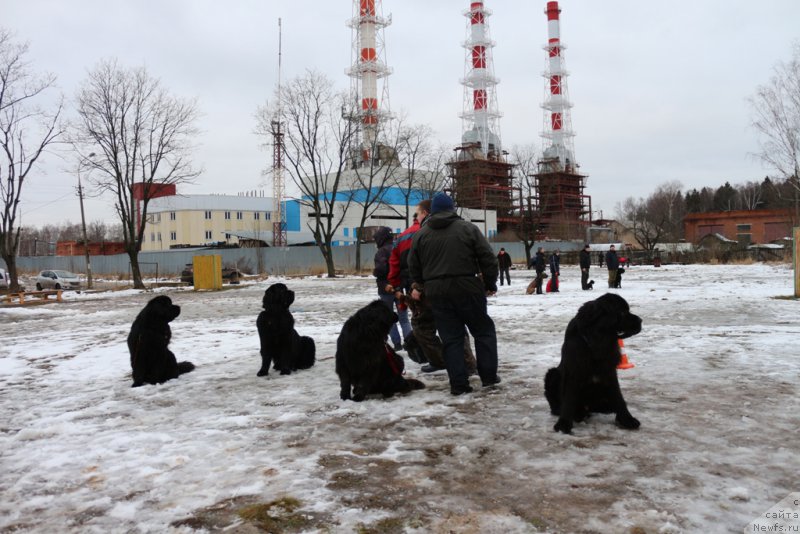 Фотография № 198699