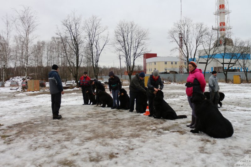 Фото: Тренировка МКОО 