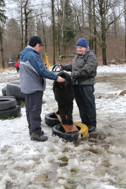 Фото: Aleksandr Burmistrov (Александр Бурмистров), Aleksandr Ponomaryov (Александр Пономарёв), Конан (Сент-Джонс)