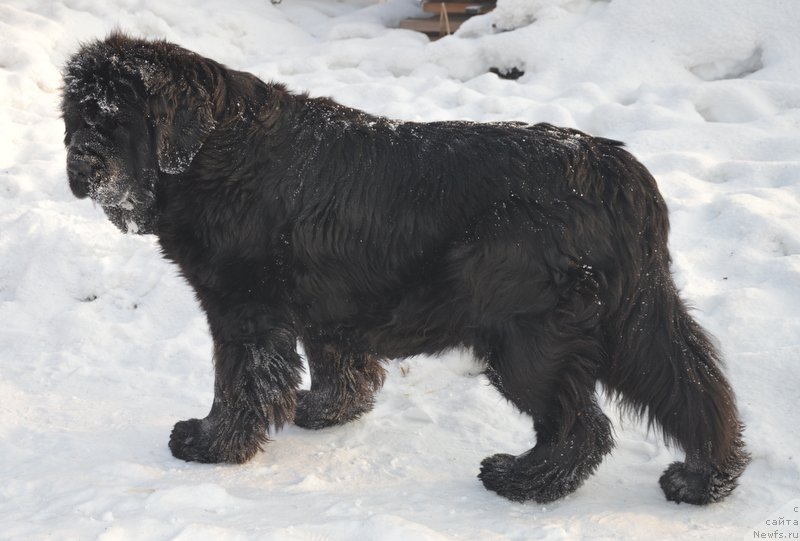 Фотография № 198735