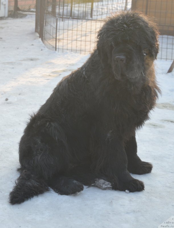 Фотография № 198736