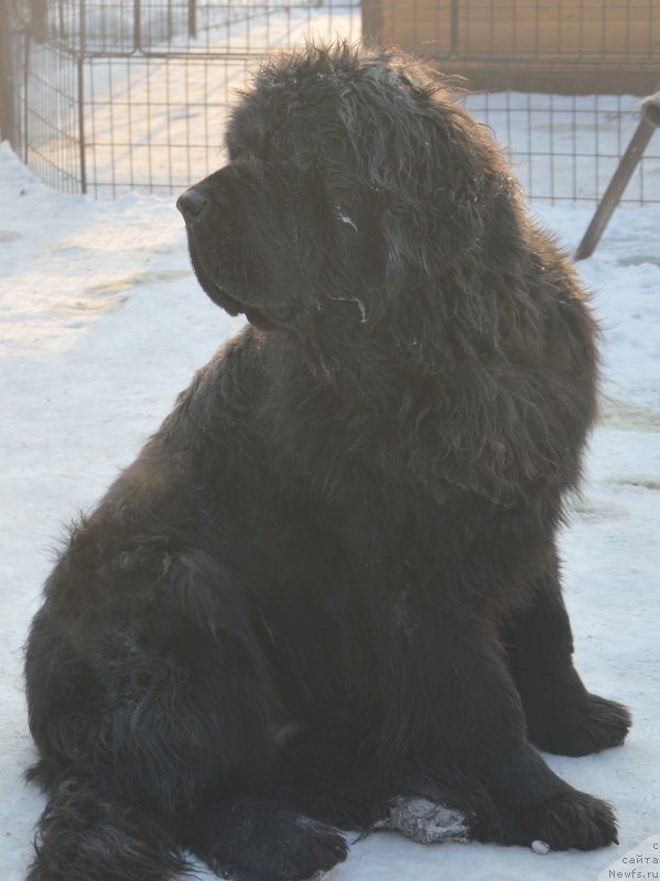 Фотография № 198737