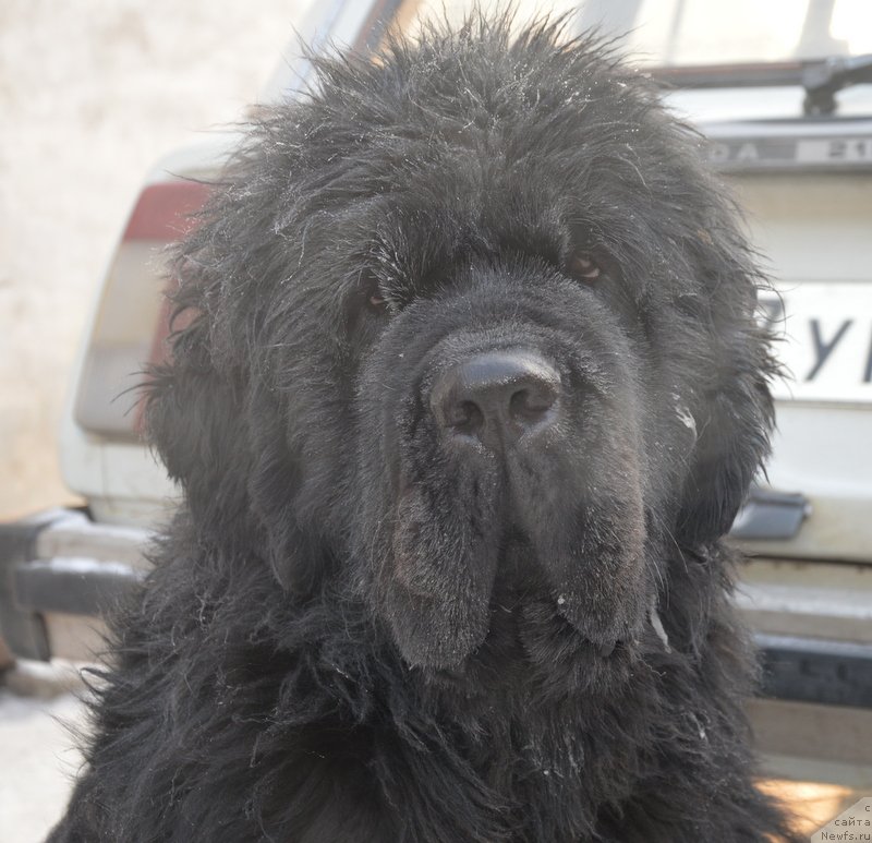 Фотография № 198738