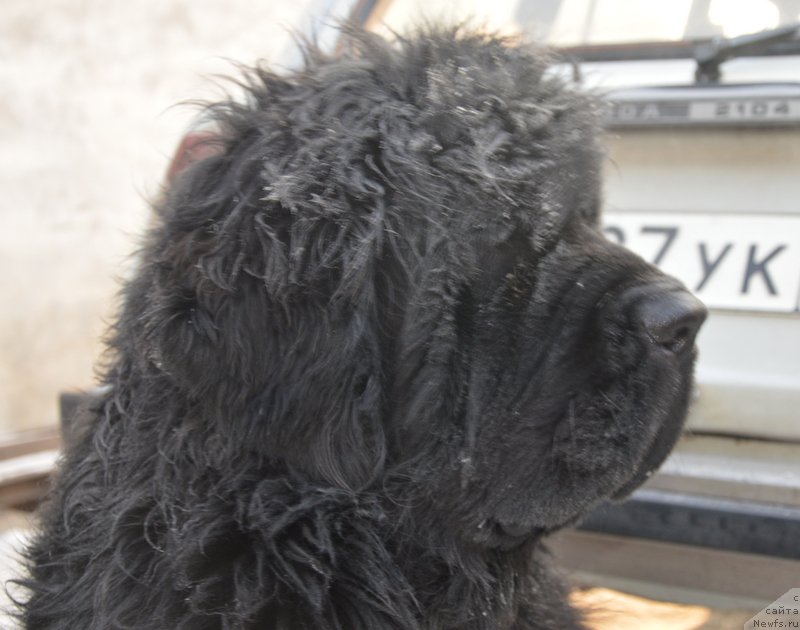 Фотография № 198739