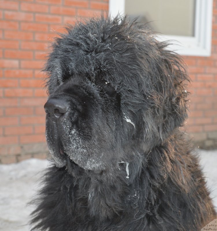 Фотография № 198740