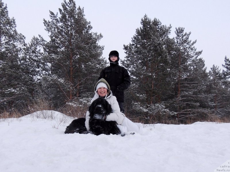 Фото: ньюфаундленд Bi Perfekt Arabella (Би Перфект Арабелла), [p2376] и мой сынок Мишутка