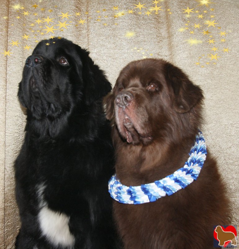 Фотография № 198759