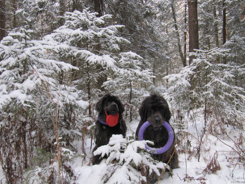 Фотография № 198790