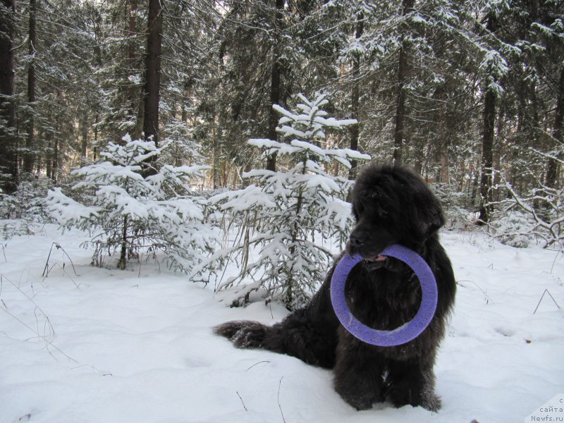 Фотография № 198794